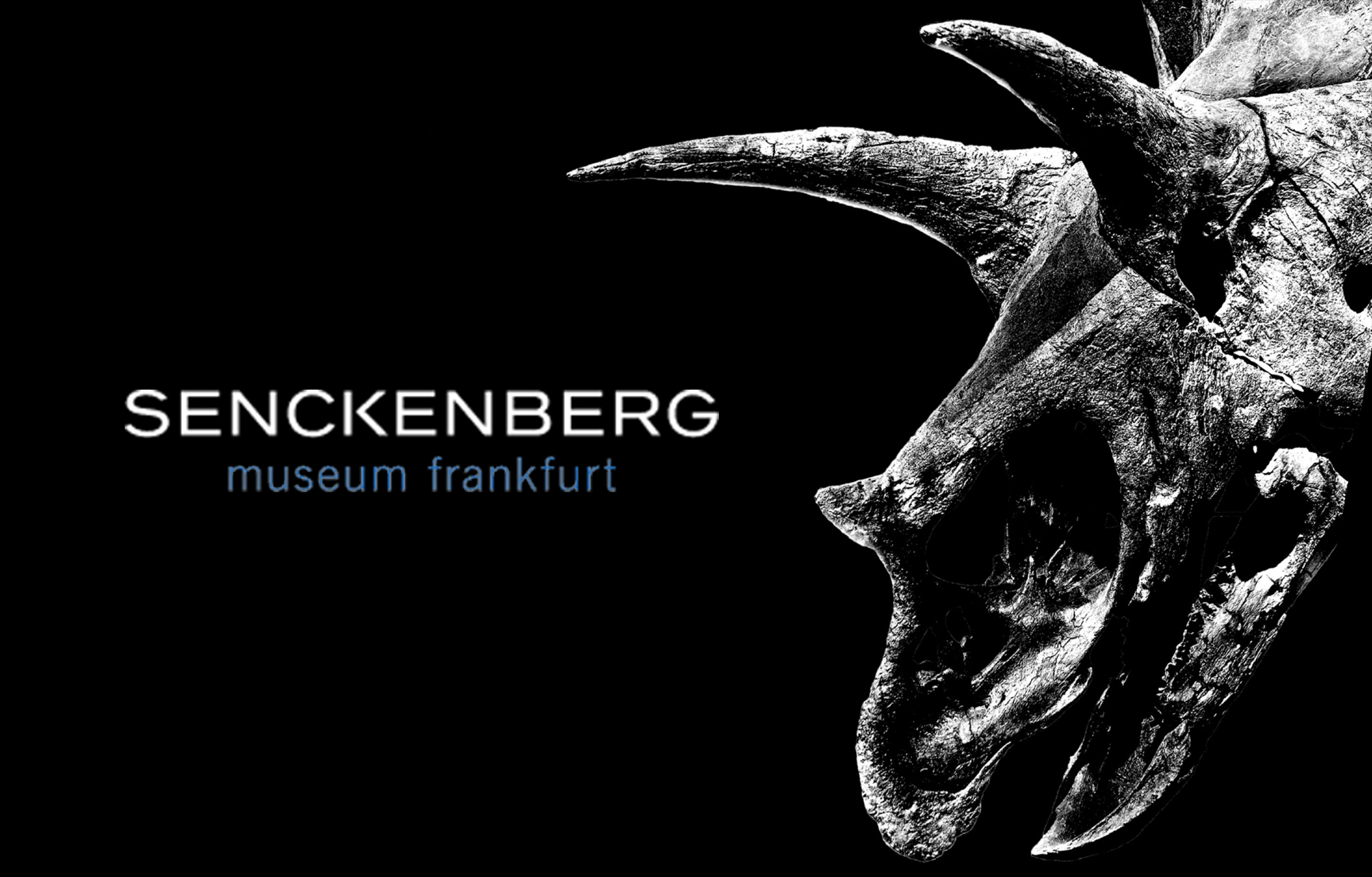 Senckenberg Museum – Kampagne: Zum Tea beim T-Rex
